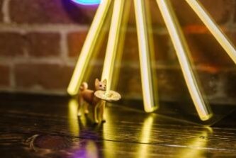 彩币(TIX)是什么币？TIX币价格、官网总量和交易所介绍